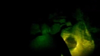 20090218