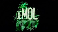 mollogo